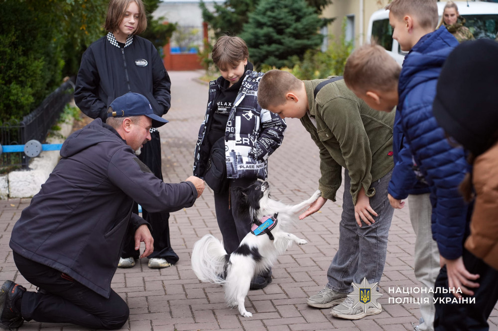 7232 image for slide