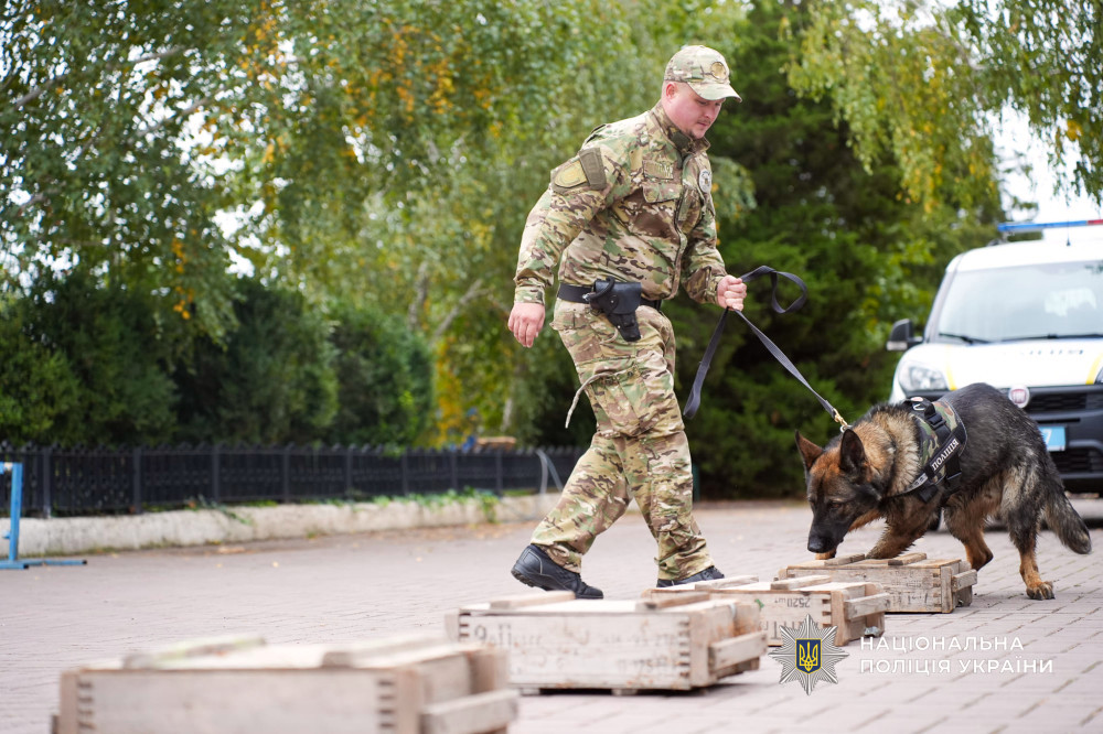 7235 image for slide