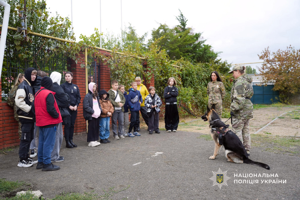 7237 image for slide