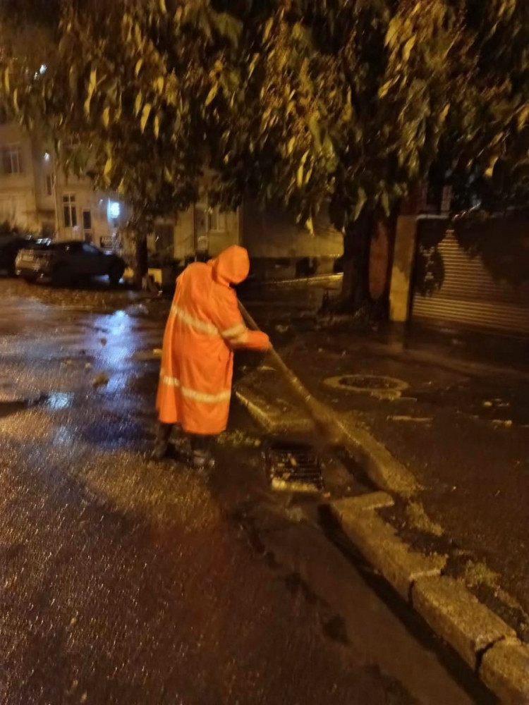 7279 image for slide