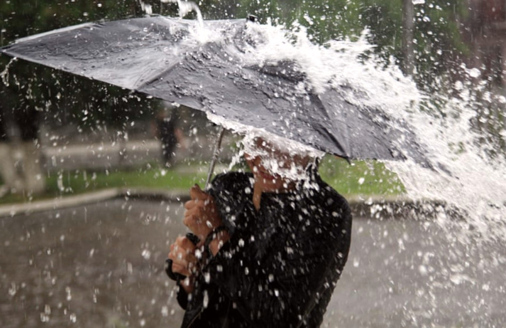 7298 image for slide