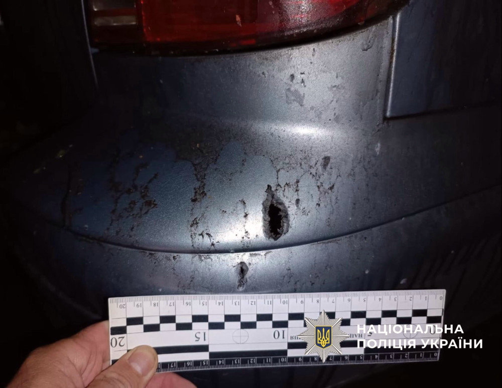 7303 image for slide