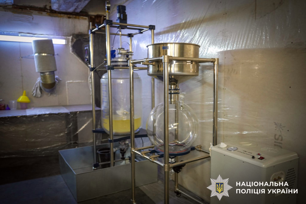 7397 image for slide