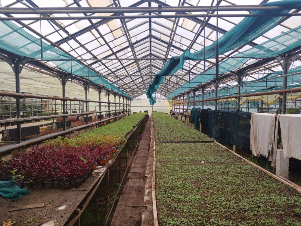 7435 image for slide