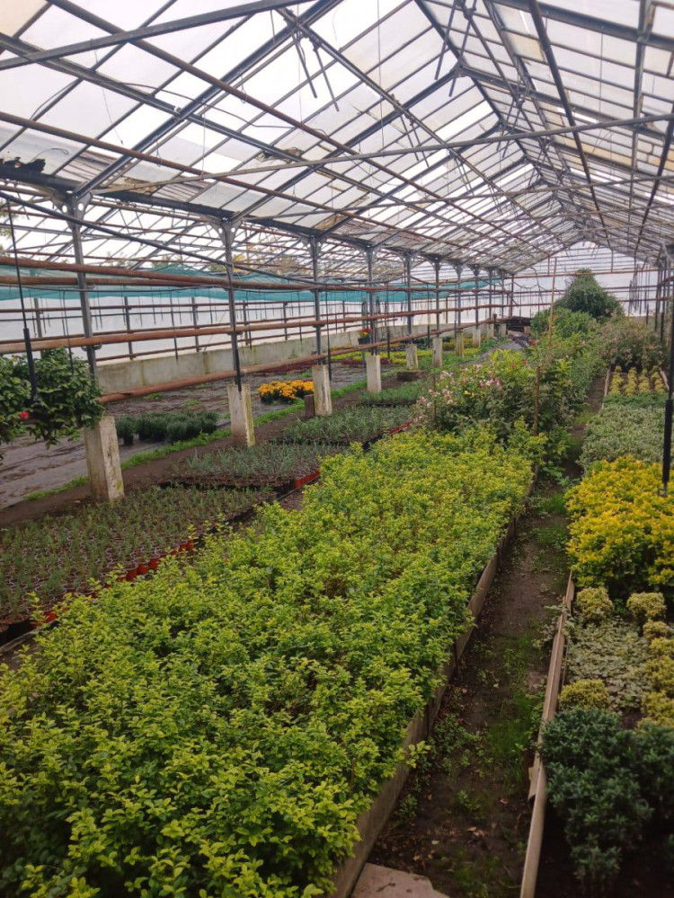 7439 image for slide