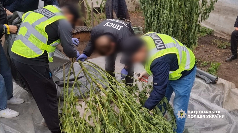 7693 image for slide