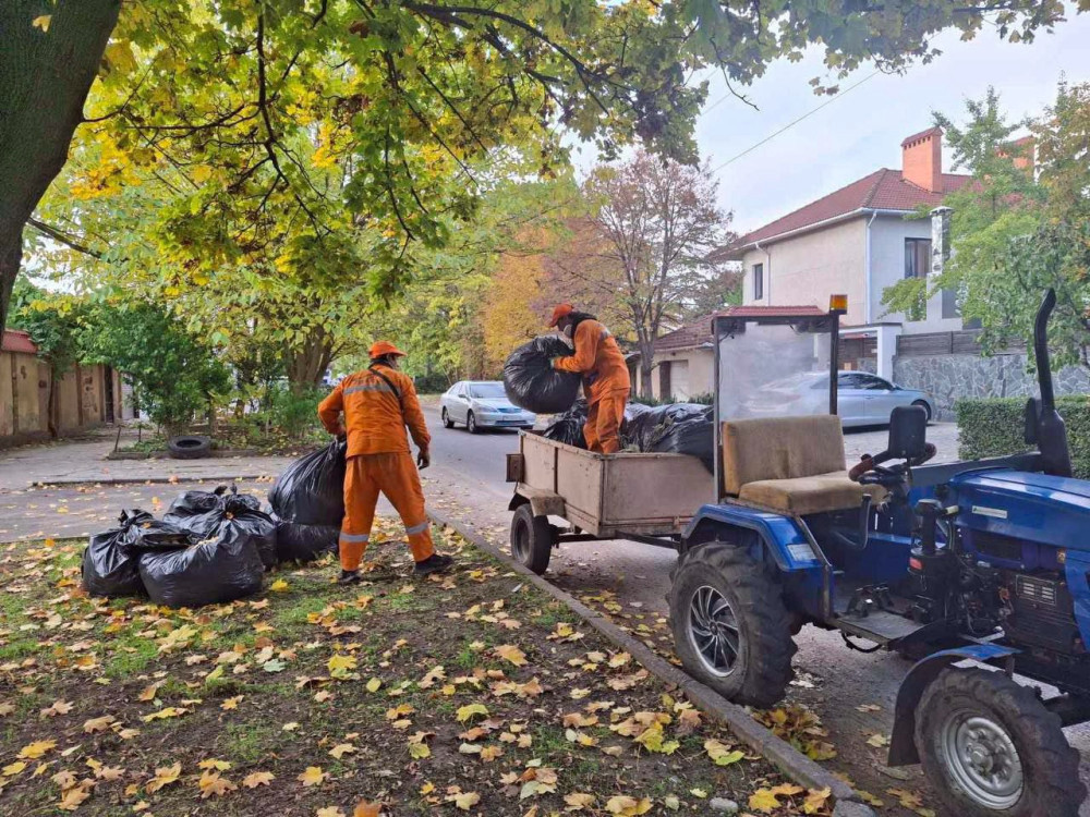 7756 image for slide