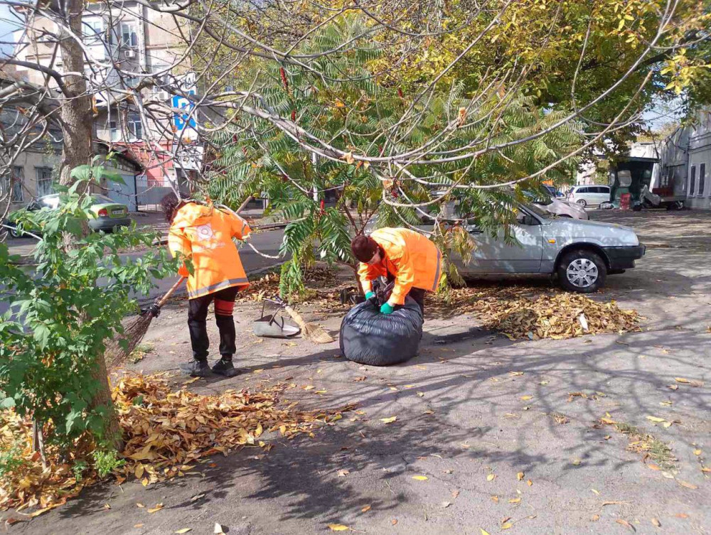 7760 image for slide