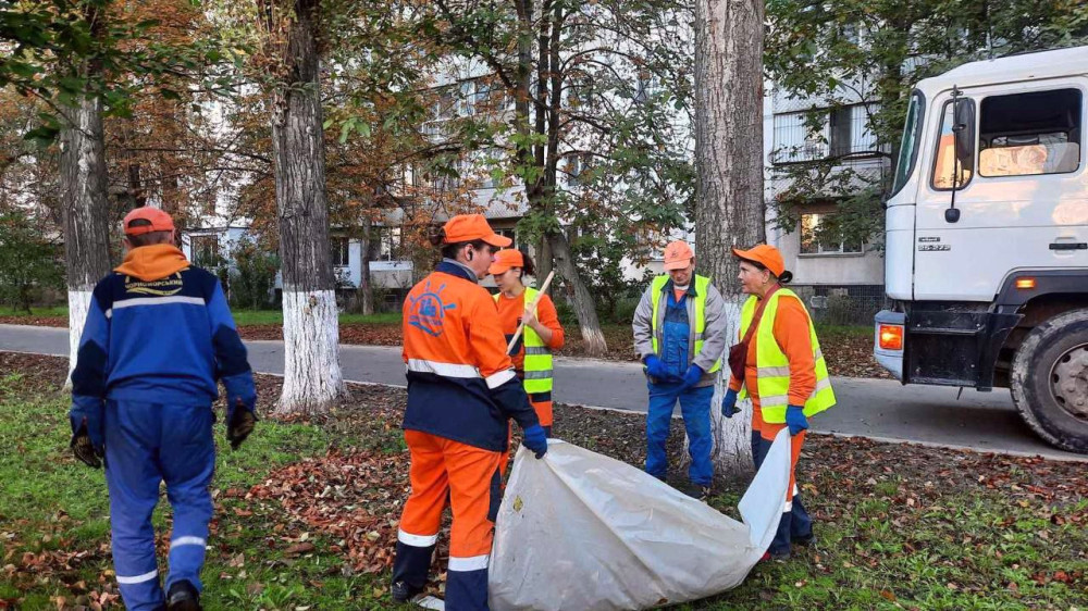 7761 image for slide