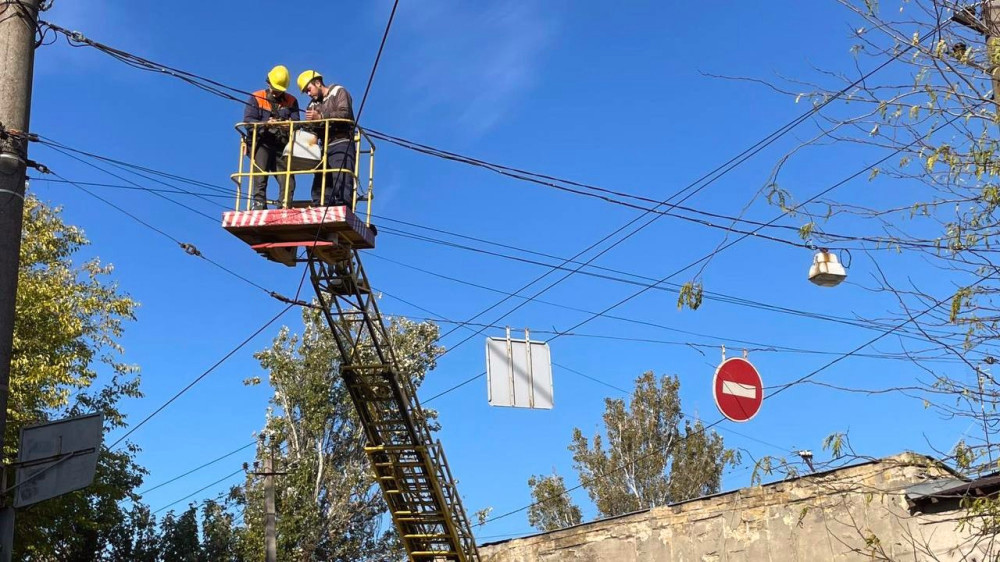 7795 image for slide