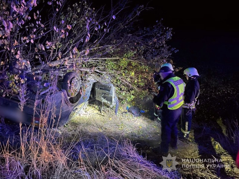 7907 image for slide