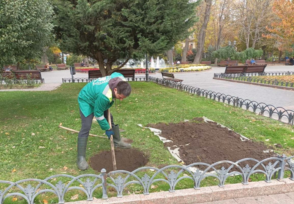 7984 image for slide