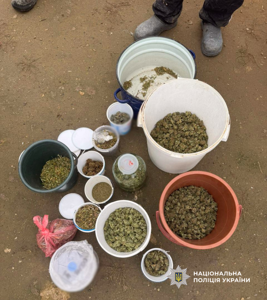 8077 image for slide