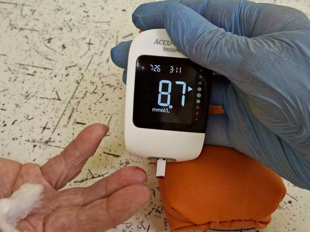 8097 image for slide