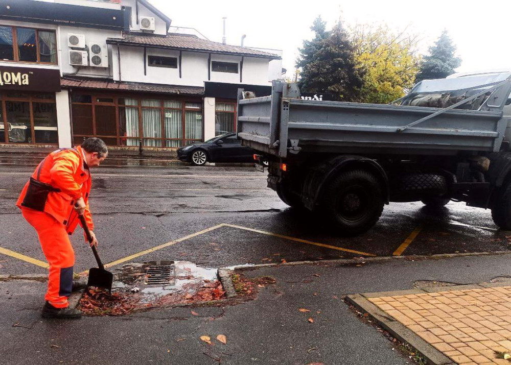 8115 image for slide