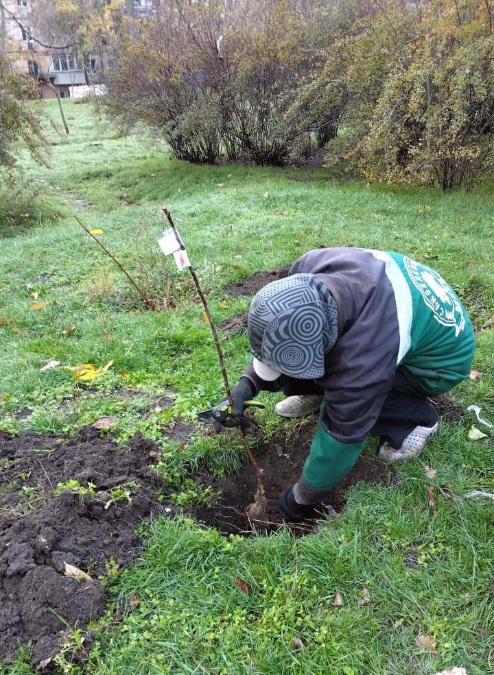 8212 image for slide