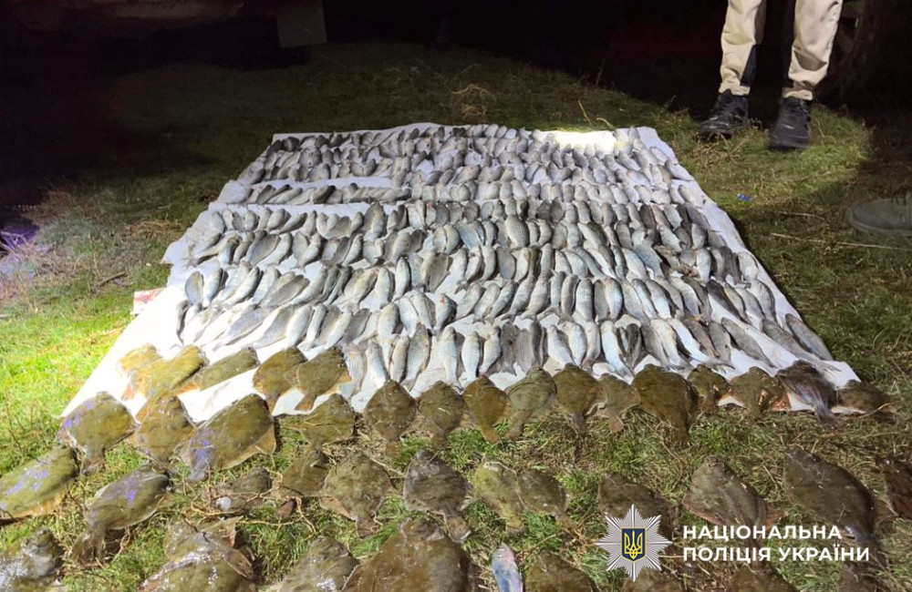 8278 image for slide