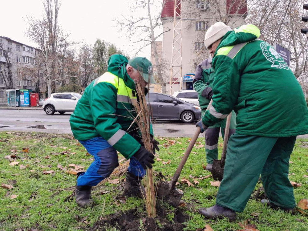 8282 image for slide