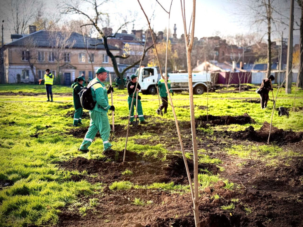 8342 image for slide