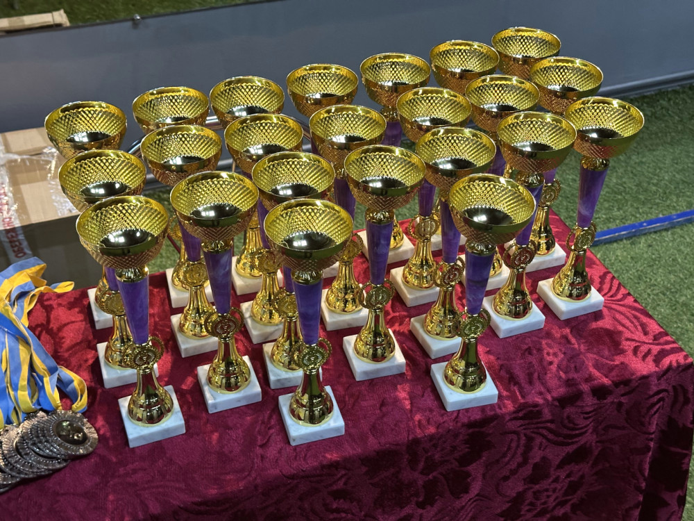 8890 image for slide